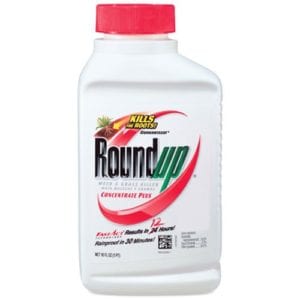 Roundup Unkrautvernichtungsmittel Konzentrat Plus