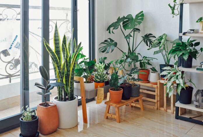 Exceptional Indoor Garden Ideas That Would Show Your Creativity