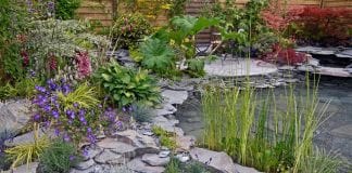 bästa växtidéerna för vattenträdgård