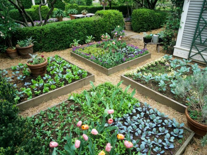 beste ideeën voor een verhoogde tuin