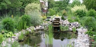 Las 5 mejores ideas para jardines acuáticos