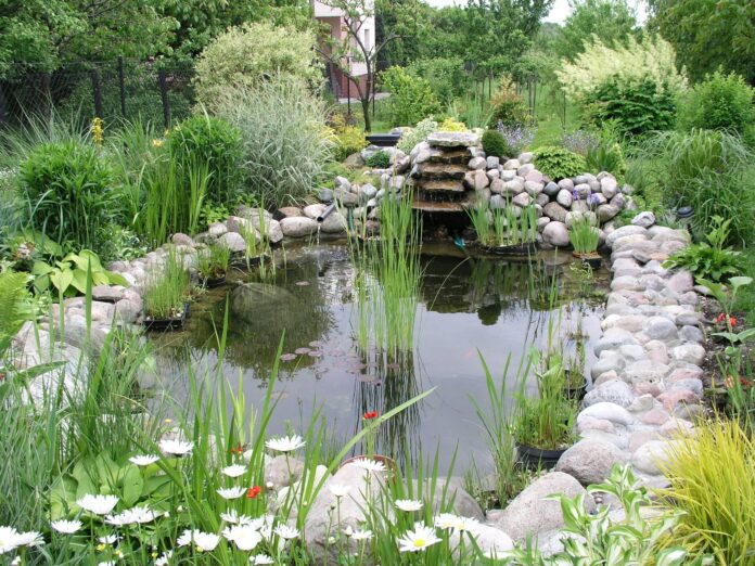 top 5 beste ideeën voor watertuinen