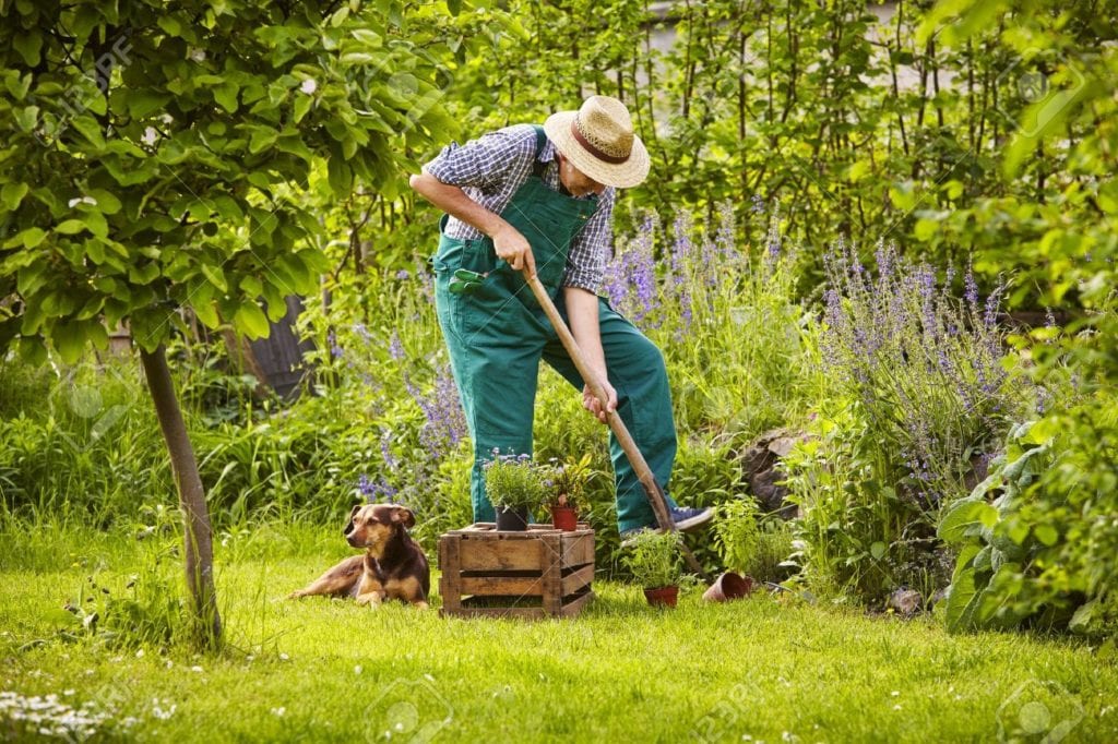 Fordeler med å eie en hage