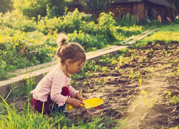 fordelene ved å eie en hage
