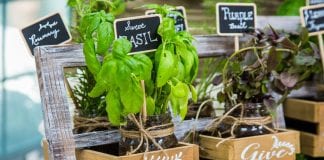 Come realizzare etichette per piante nel tuo giardino