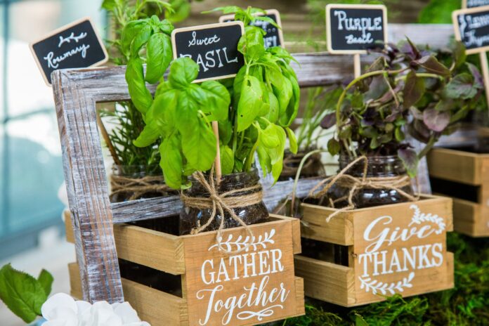 Cara membuat label tanaman di kebun Anda