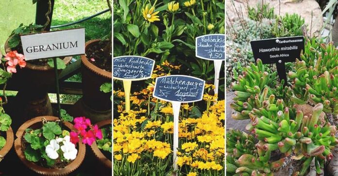 Cara membuat label tanaman di kebun Anda