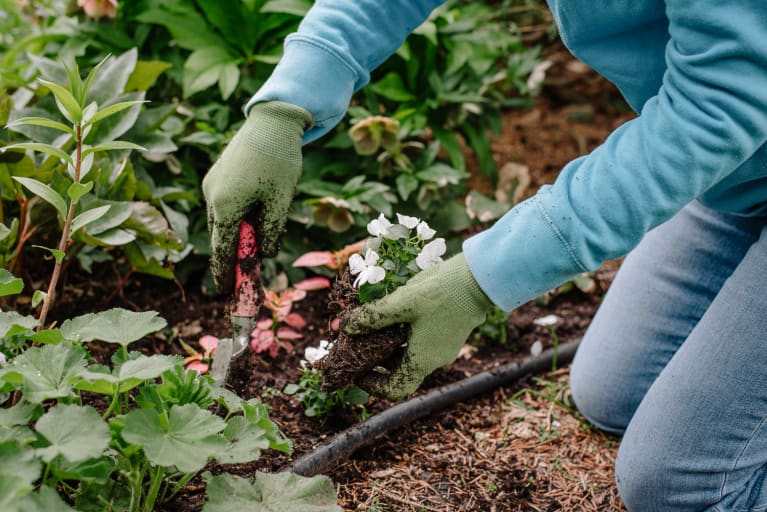how to exercise and stay healthy while gardening