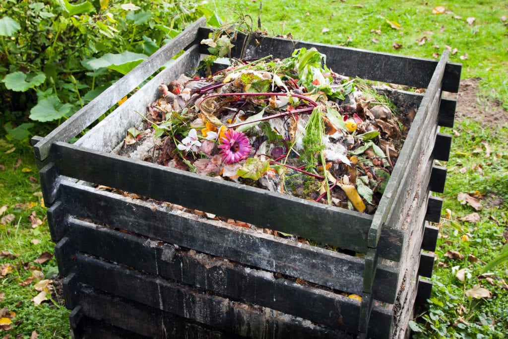 hur man håller en kompostbehållare ren