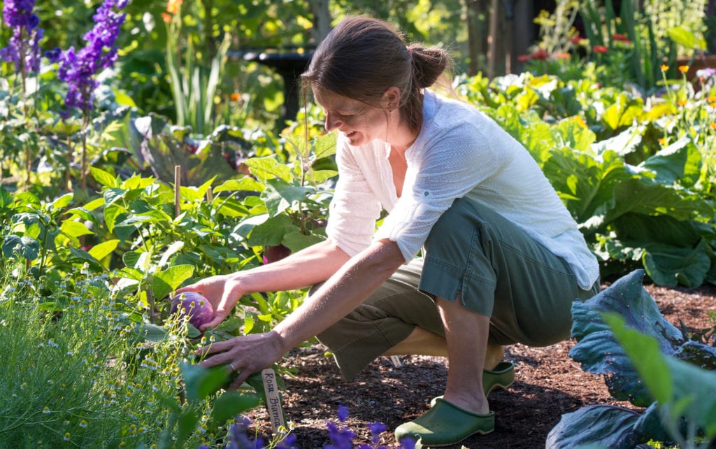 cómo alcanzar sus objetivos de jardinería