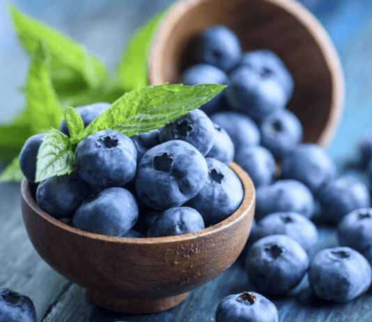 effects of pest damage on blueberries