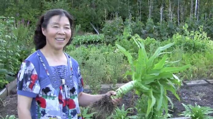 growing chinese vegetables in gardens