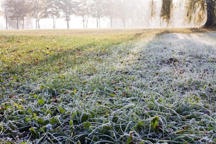 hur man sköter gräsmattor på vintern