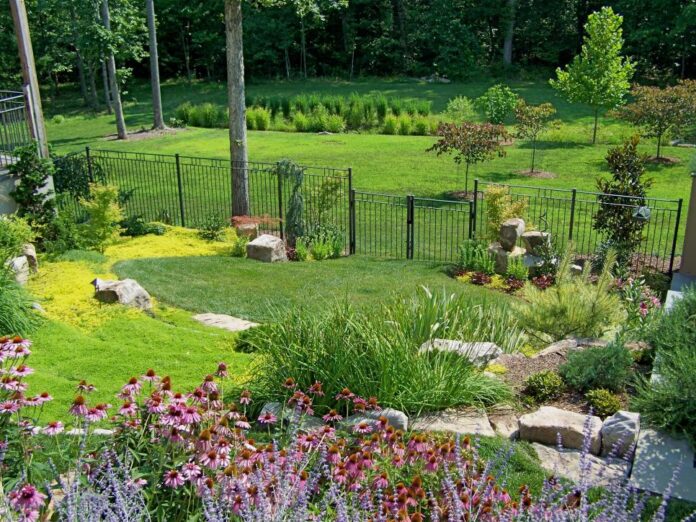 how to transform your backyard landscape