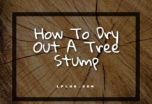 Como secar um toco de árvore