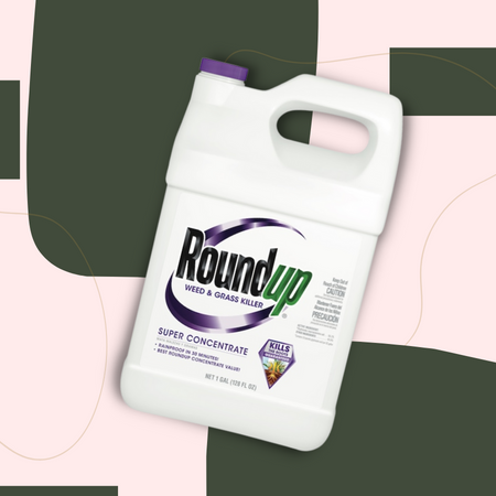 Roundup onkruid- en grasverdelger super concentraat