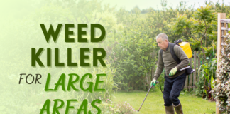 melhor herbicida para grandes quintais