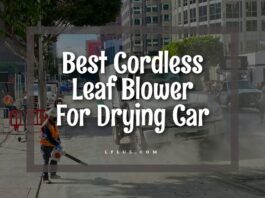 車の乾燥に最適なコードレスリーフブロワー
