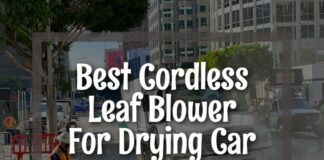 El mejor soplador de hojas inalámbrico para secar el automóvil