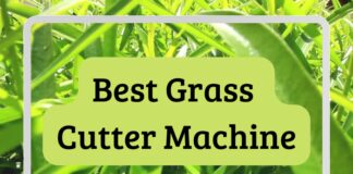 Beste Grasschneidemaschine für perfekte Rasenflächen