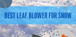 Best Leaf Blower For Snow Yard and Car Maintenance Tips