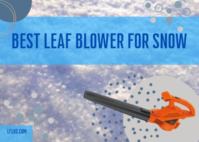El mejor soplador de hojas para patios de nieve y consejos de mantenimiento de automóviles