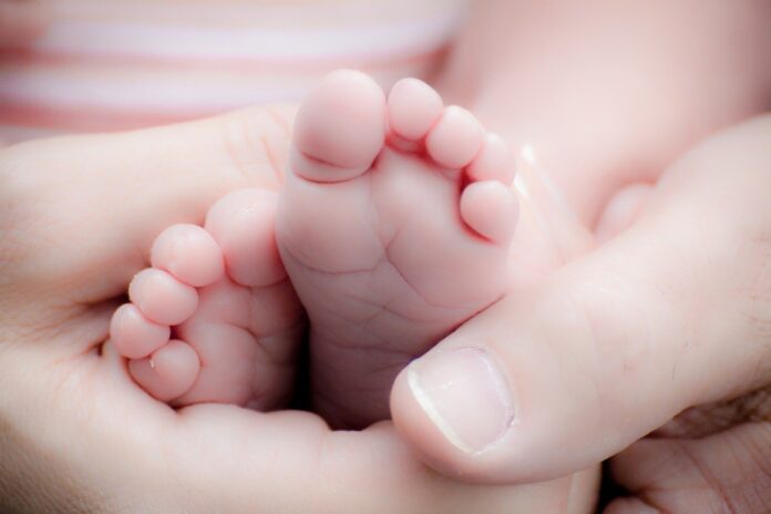Baby fötter. Koncept för Surrogacy Agency