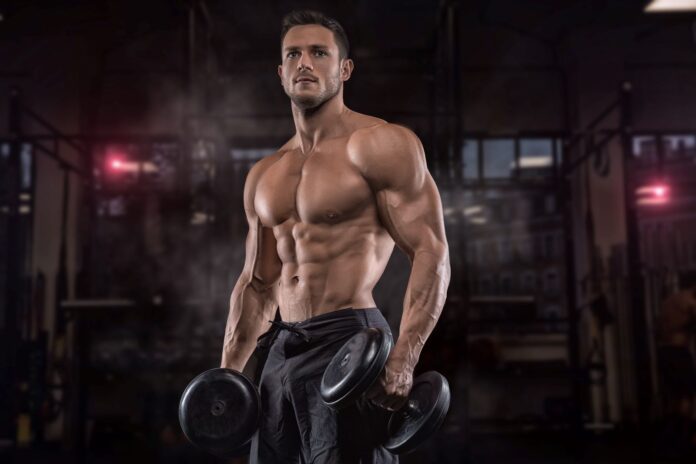 Suplementos para construção muscular e musculação