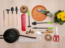 Dévoiler les secrets d'un jardinage en serre réussi - 14 accessoires indispensables pour votre kit de serre